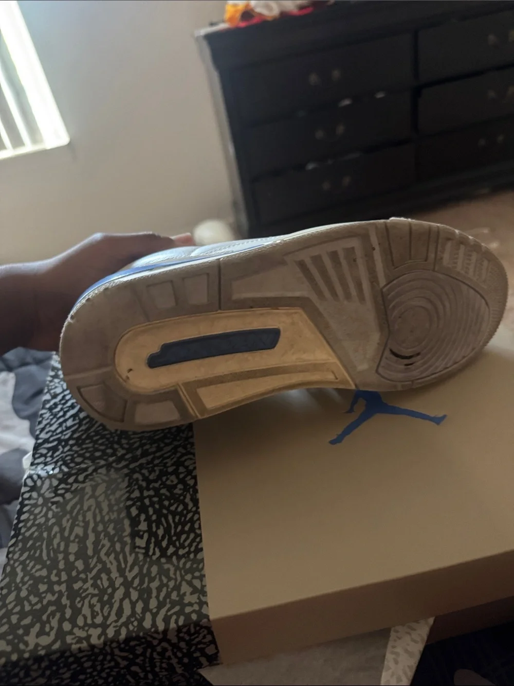 Jordan Men's Shoebox with Blue Jumpman and Elephant Print